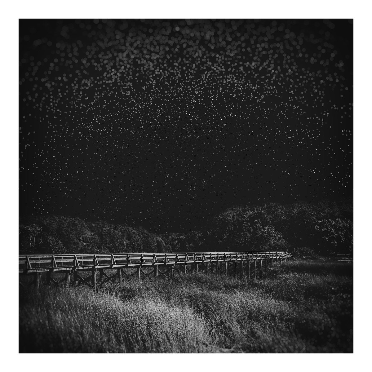 Photorealistic Landscape Photograph By Brooke T Ryan, 20 X 20, Uncle Tim