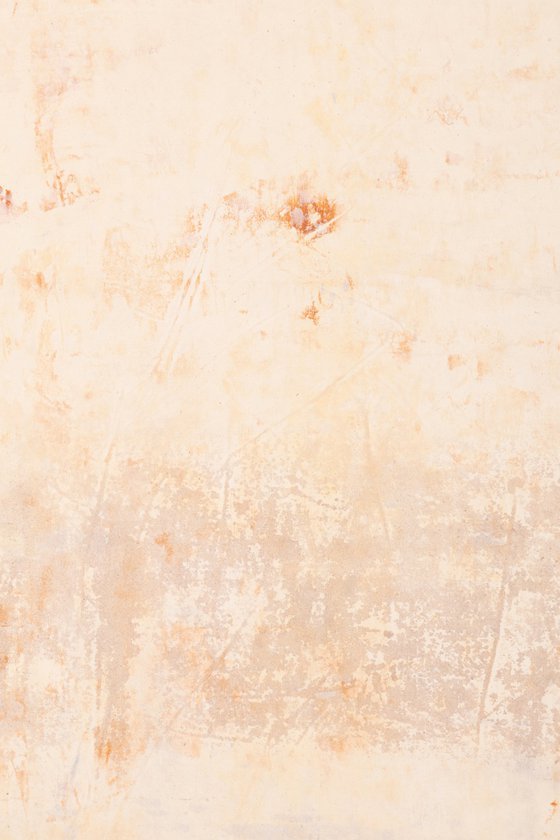 No. 24-50 (160 x 220 cm )