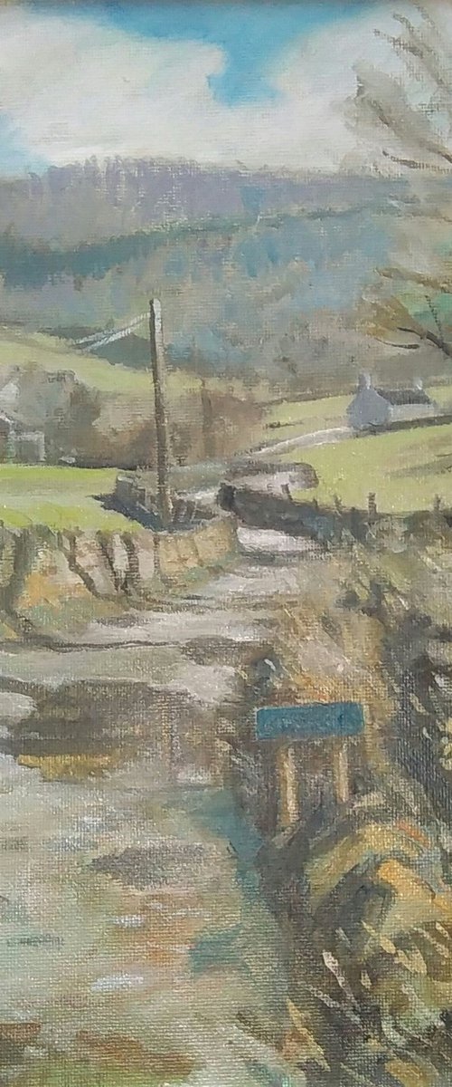 Howgill Lane landscape by Damian Gerard Bland