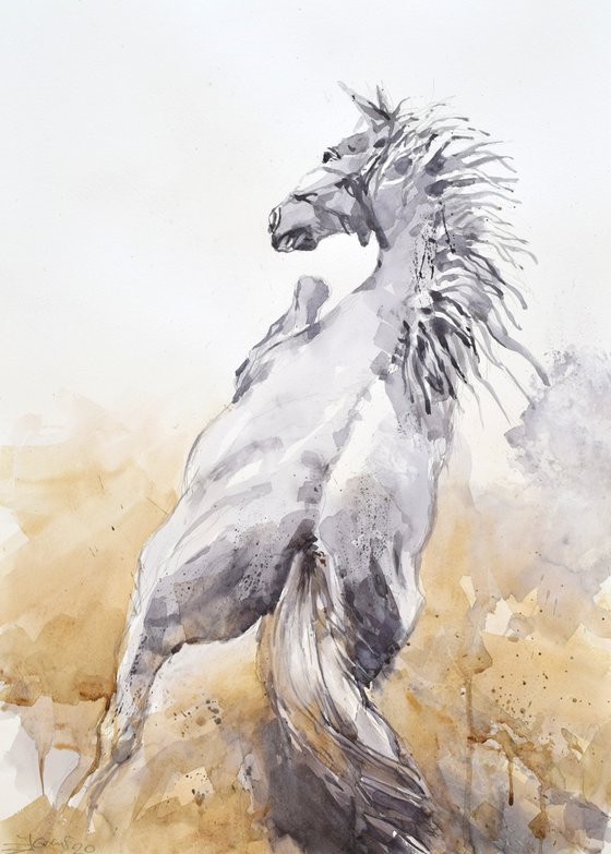 Prancing  horse (70x50).