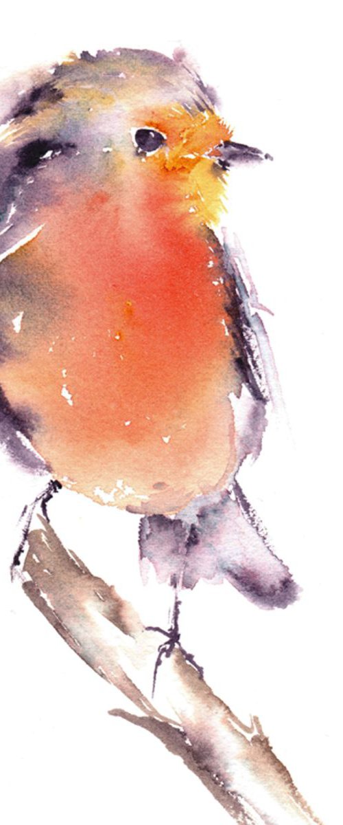 Robin by Anjana Cawdell