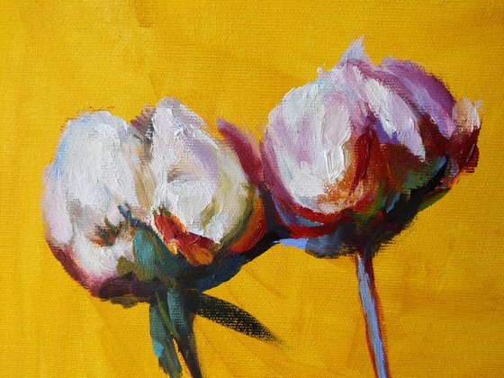 Peonies on the golden yellow