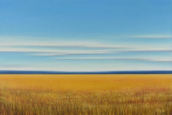 Field of Gold - Blue Sky Landscape