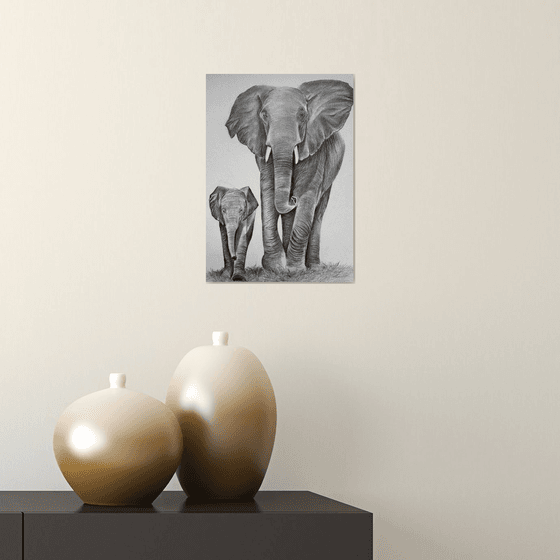 Elephants together
