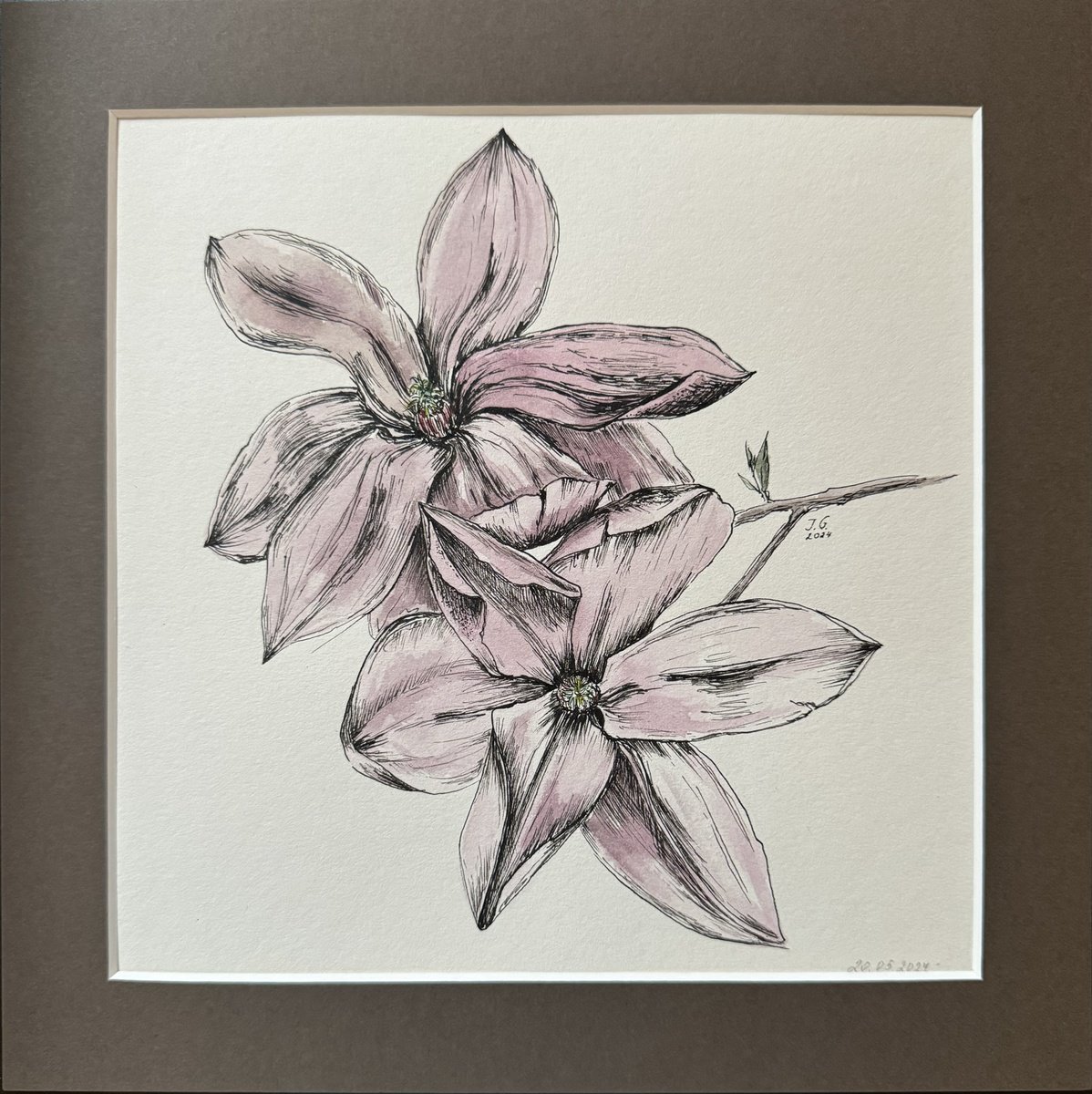 Illustrative Botanical Ink Drawing By Julia Gorislavska, 8 X 8", Magnolia #1, Original Artwork