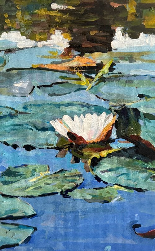 Waterlilies by Marco  Ortolan