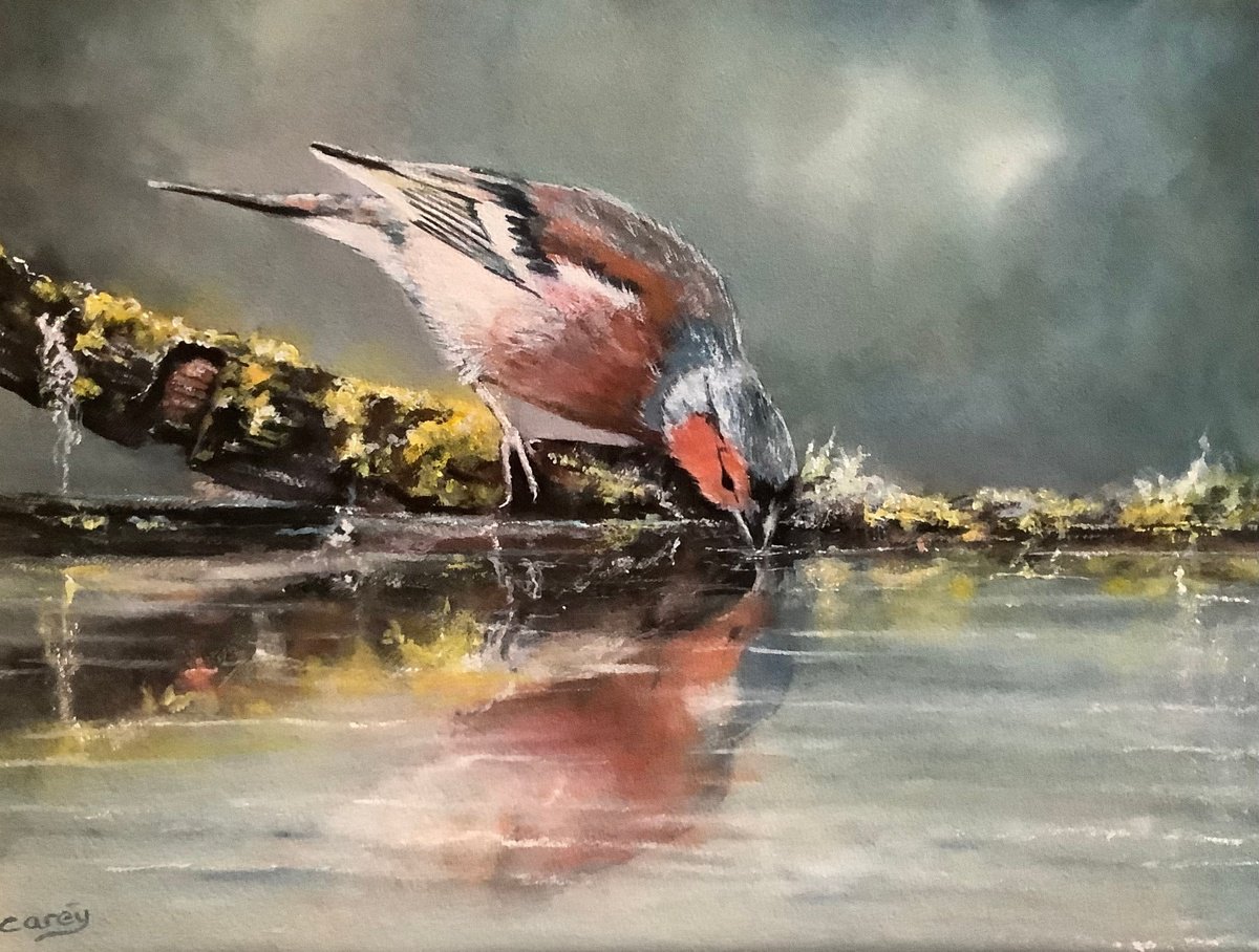 Photorealistic Animal Watercolour By Darren Carey, 15 X 11, Chaffinch, Original Artwork