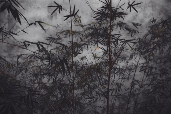 The power of simplicity II