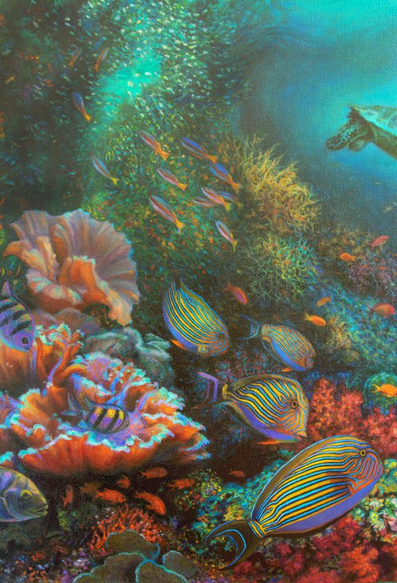 Coral Reef