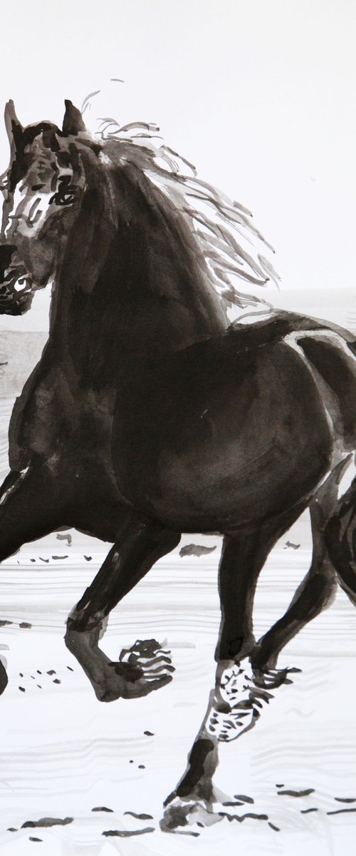 Black  horse / 42 x 29.7 cm by Alexandra Djokic