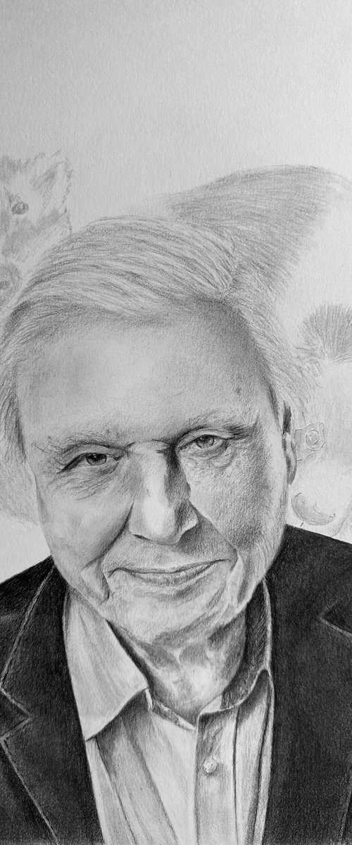 David Attenborough by Maxine Taylor