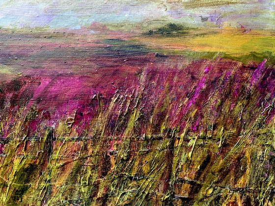 The Moors: Grasses & Heather