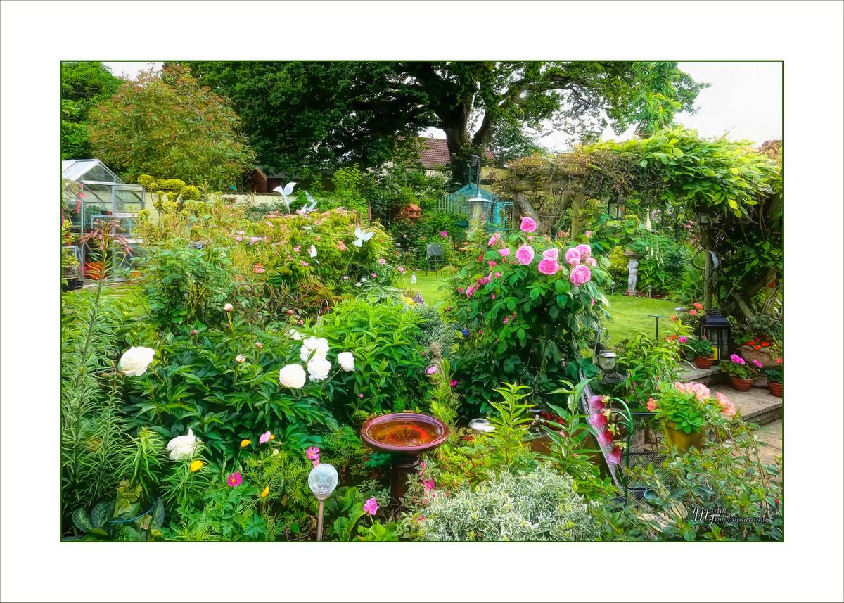 A Country Garden by Martin Fry
