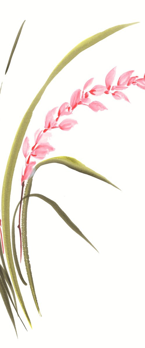 Whispering Pink Orchid by Hai Doan