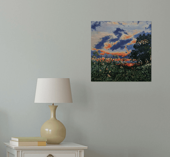 Evening Light - Sunset