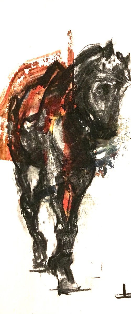 Old Horse by Dominique Dève