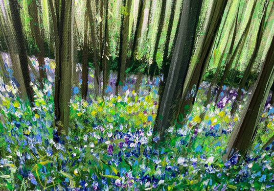 Woodland Bluebells III