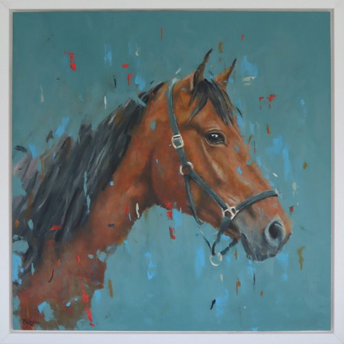 Horse by Shaun Burgess