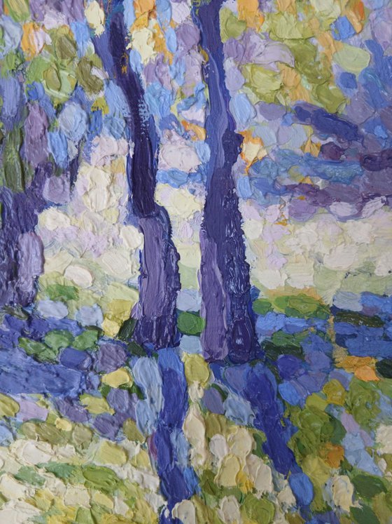 Poplars in the morning sun