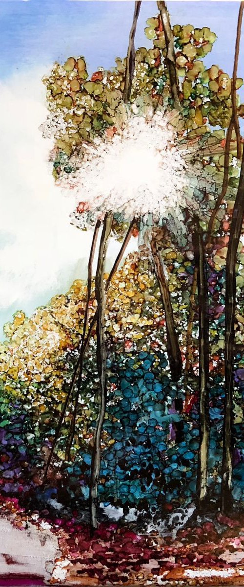 Clarity by Faith Patterson