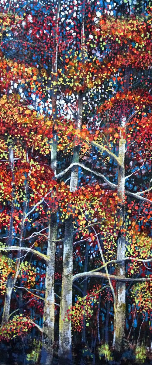 Woodlands 7 by Roz Edwards