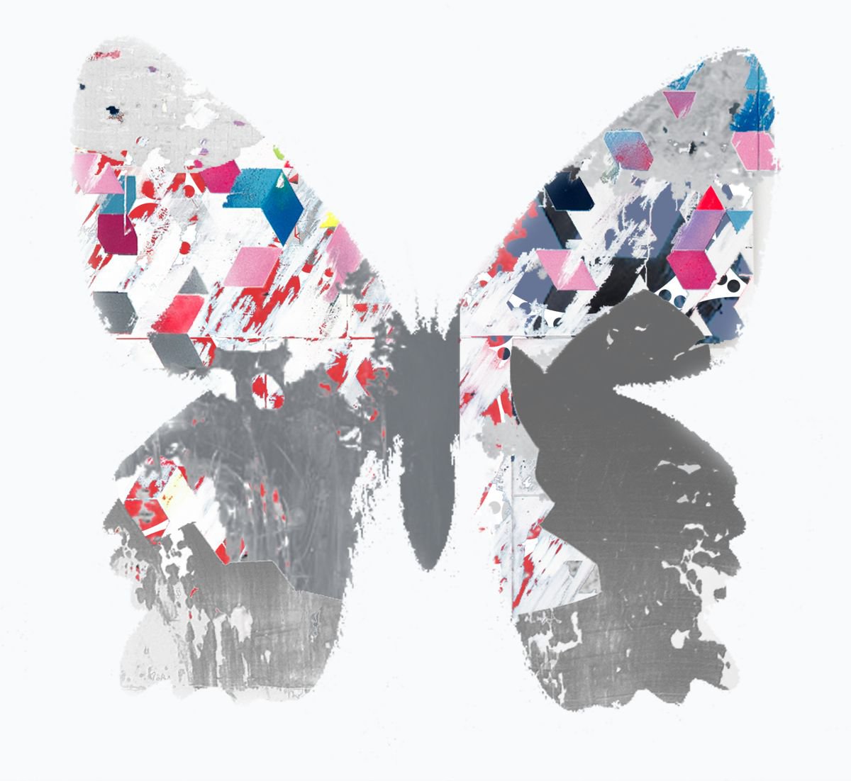 Abstract Animal Limited Edition Print By The Most Active, 9 X 8", Butterfly No 18, Original Artwork