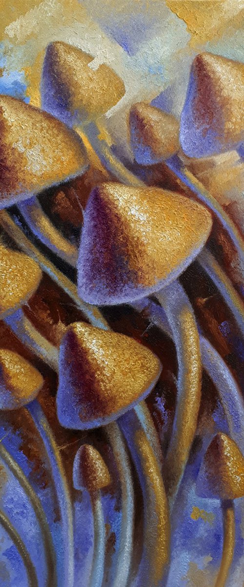 Mushrooms by Serhii Voichenko