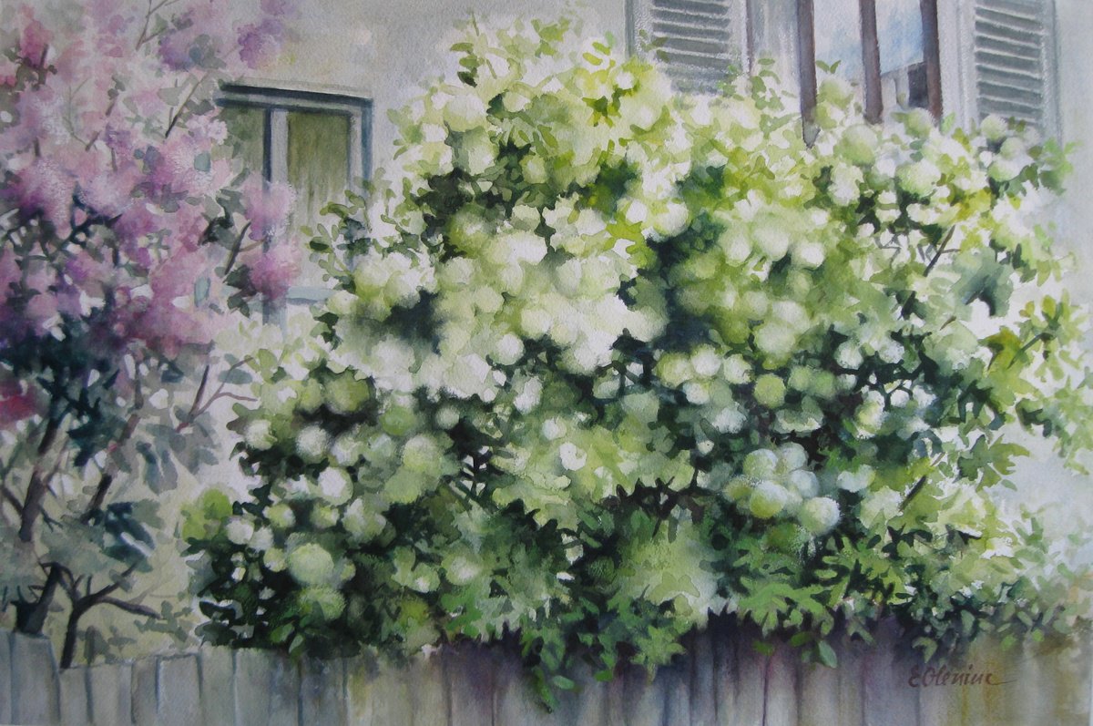Impressionistic Botanical Watercolour By Elena Oleniuc, 22 X 15, The Flowered Fence, Original Artwork