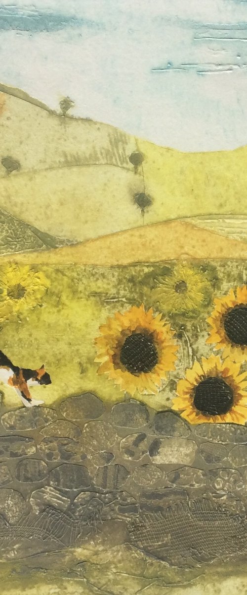 Walking on Sunshine by Jay Seabrook