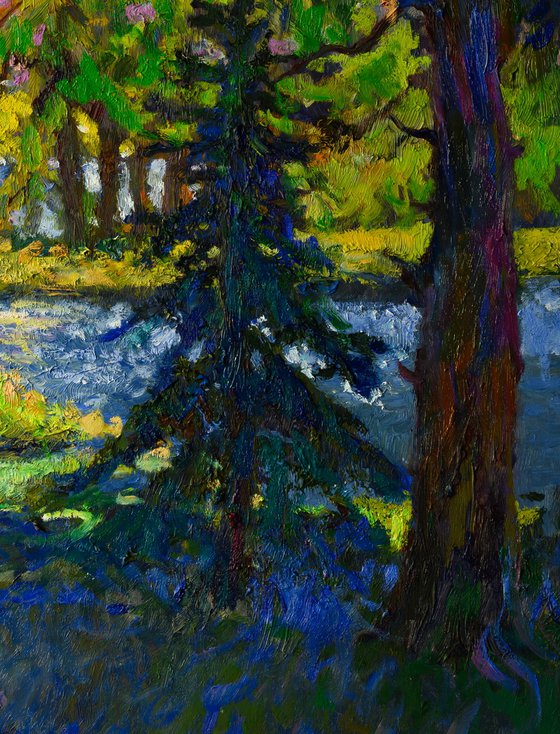 Lake and Pines