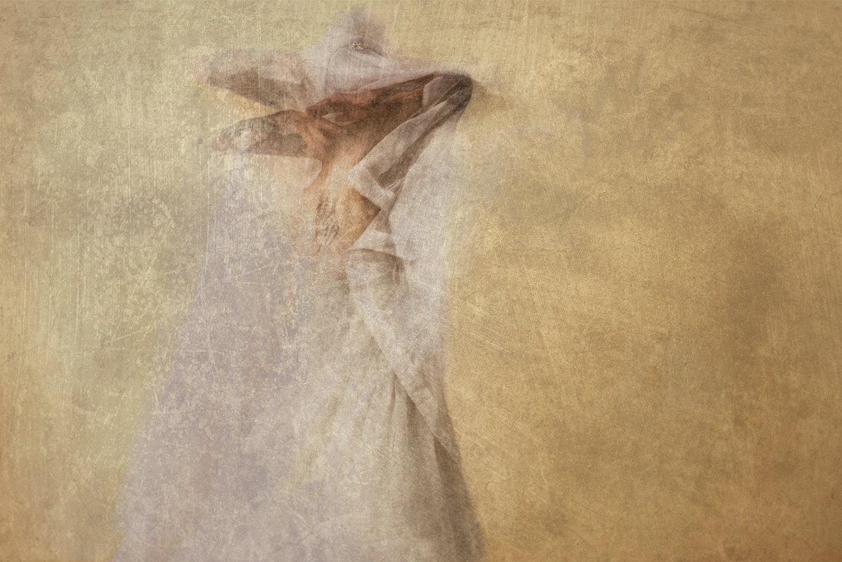 Impressionistic Portrait Photograph By Adam Regan, 20 X 30, Salome Iix, Original Artwork