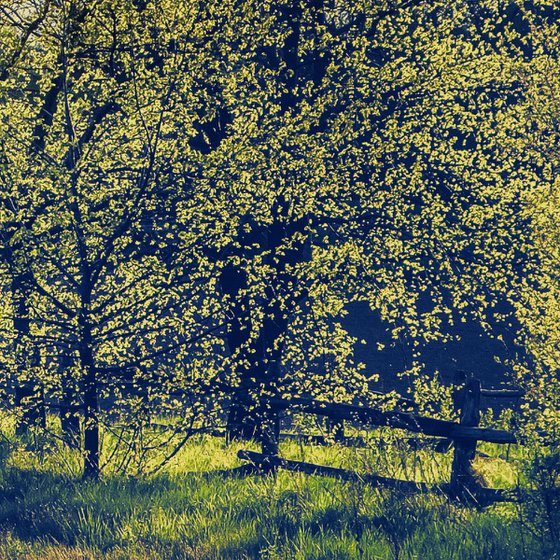 On the edge of spring.