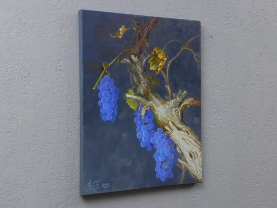 “The charm of the grapevine”