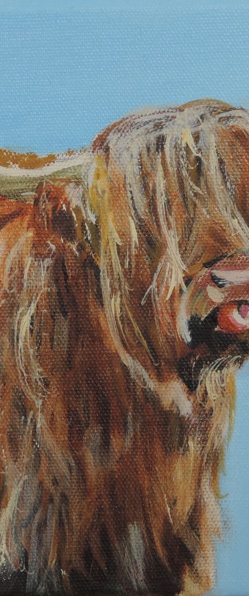 Scottish Highland cow by Gordon Bruce