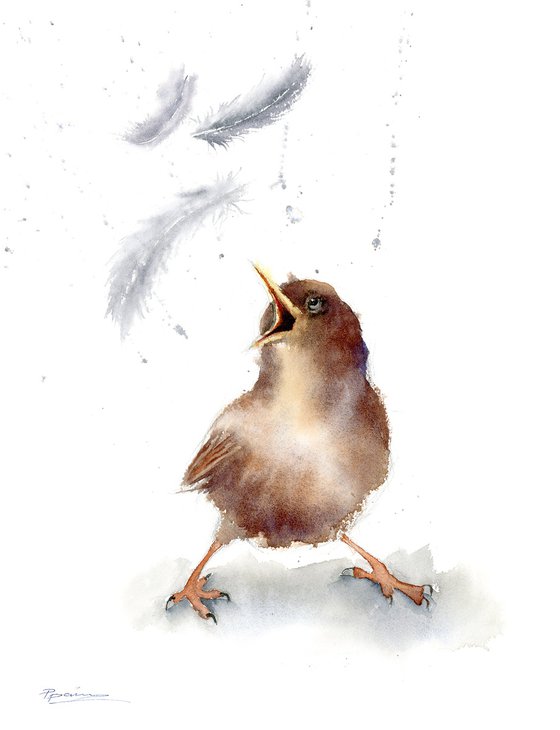 Birds And Feathers - triptych