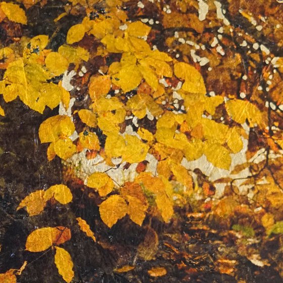 Autumnal 1