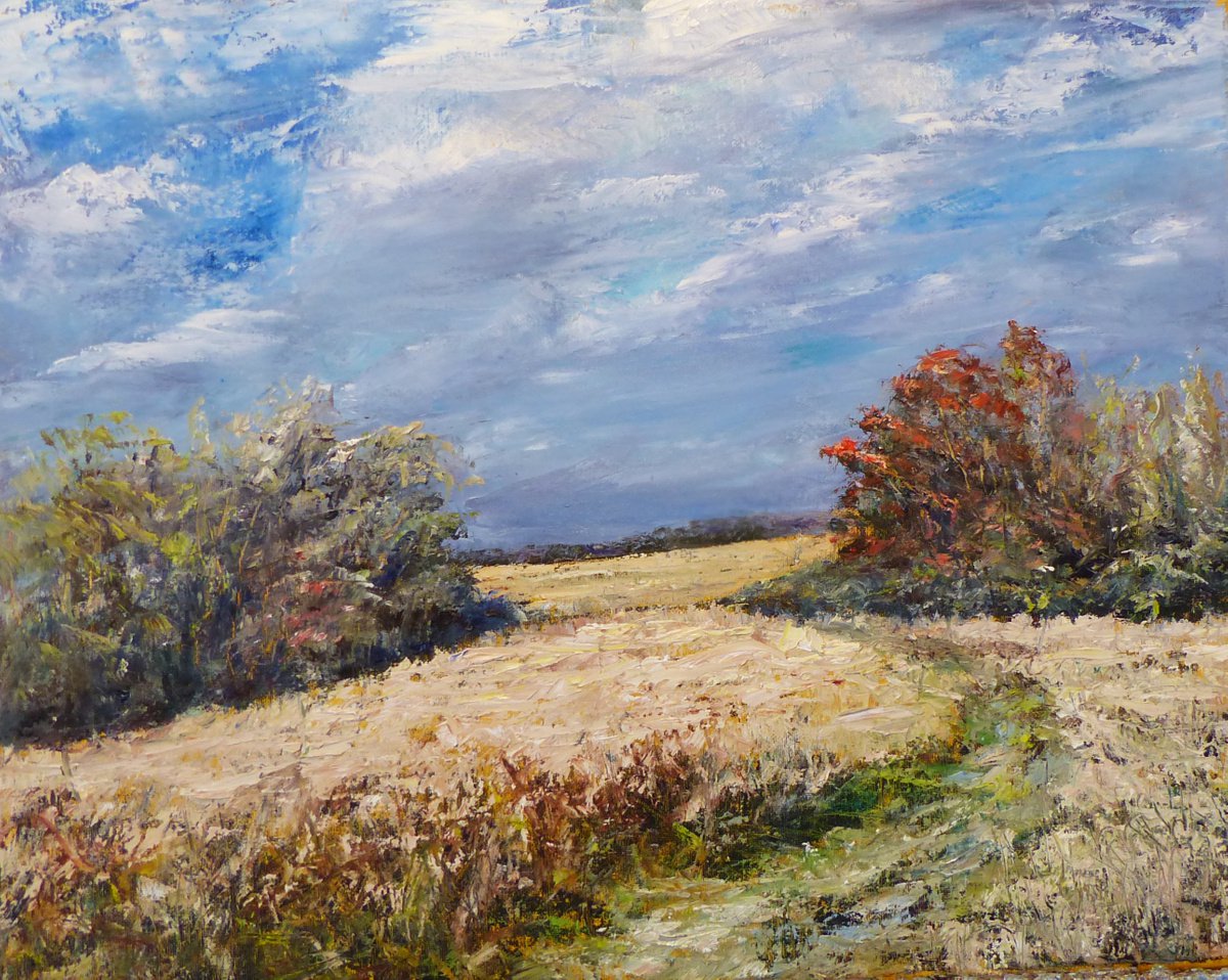 The field by Mikhail Nikitsenka