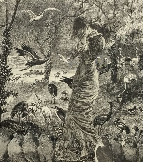 Flock by Tudor Evans