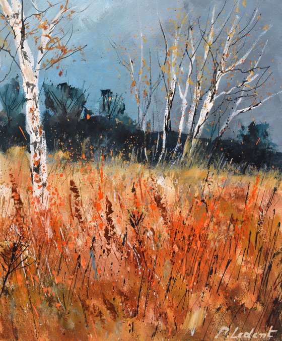 Aspen trees in autumn