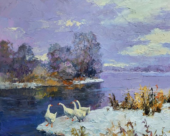 Geese On A Pond In Winter