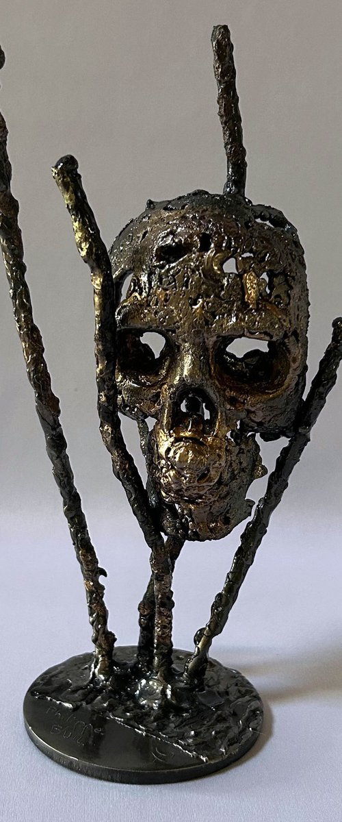 Skull 53-25 by Philippe Buil