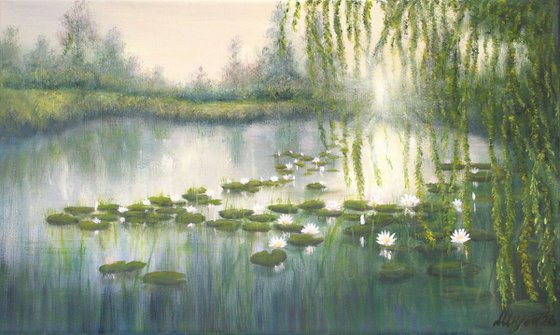 Lily pond