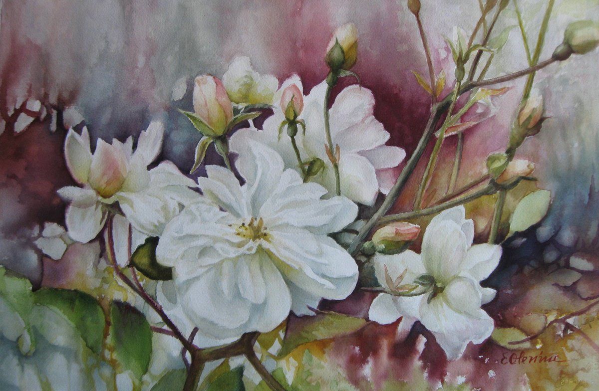 Impressionistic Botanical Watercolour By Elena Oleniuc, 22 X 15, Summer Fragrances, Original Artwork