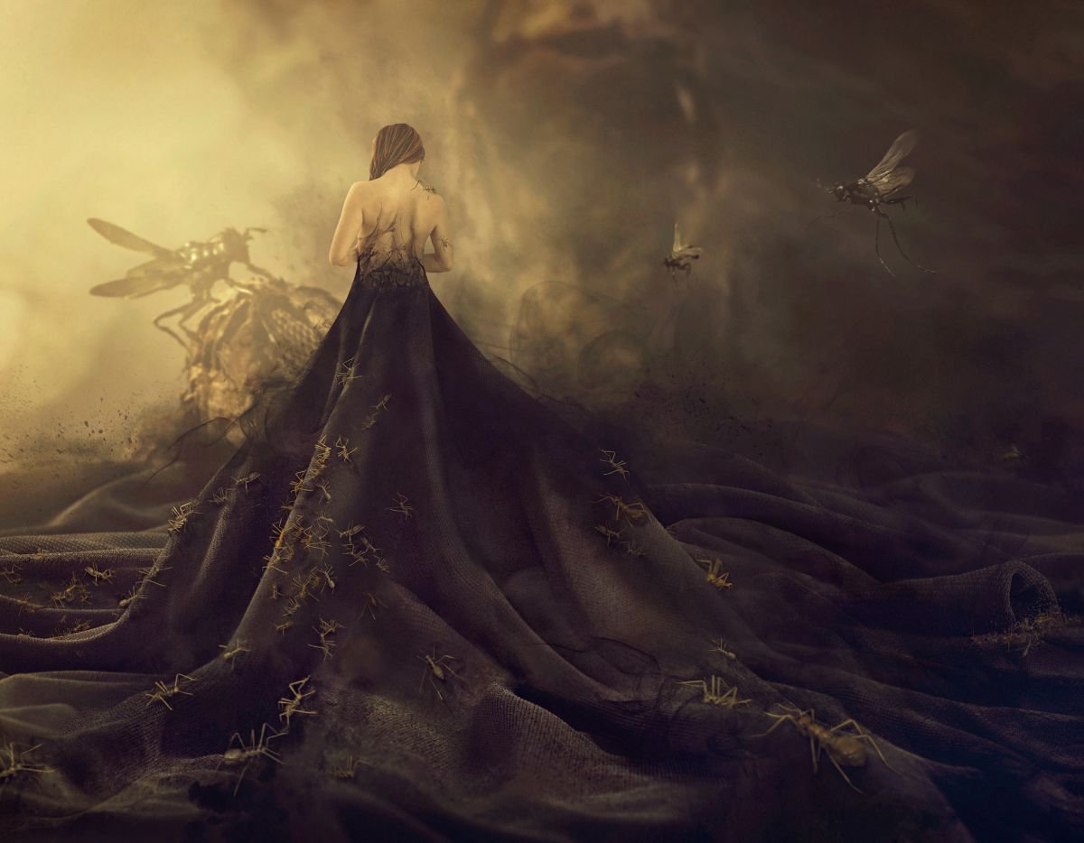 Surrealistic Abstract Giclee Print By Nikolina Petolas, 27 X 22", Nesting Ground, Original Artwork