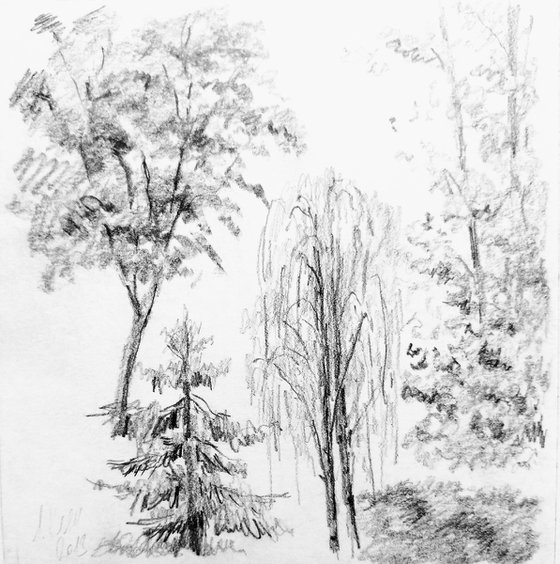 Plein air. Sketch # 1. Original pencil drawing.