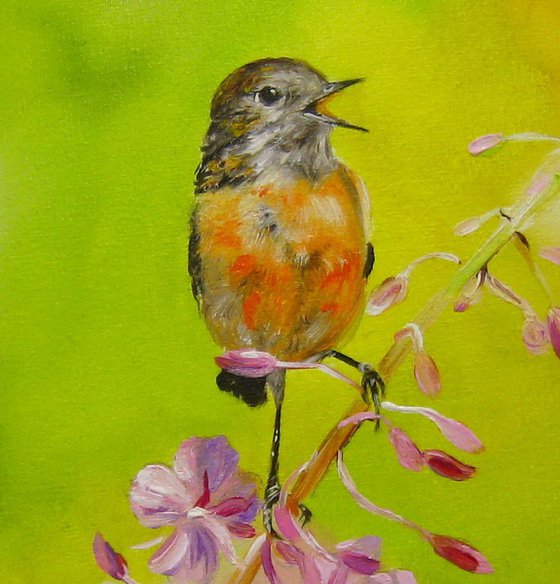 Britain bird painting Robin