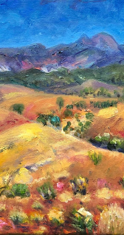 LANDSCAPE - FLINDERS RANGES by Maureen Finck