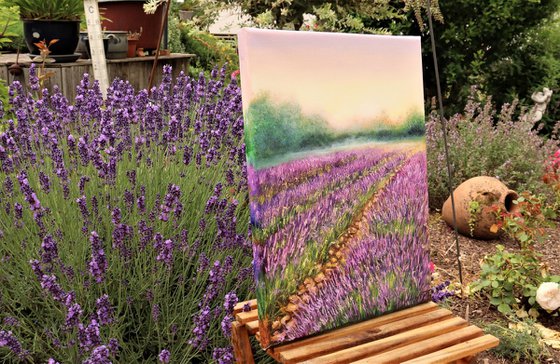 Purple meadow