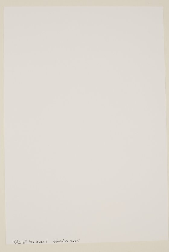 "Silhouetted"(2025)