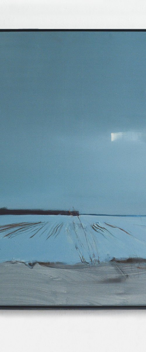 January field by Igor Nekraha